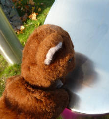 Brown Teddy with shiny post