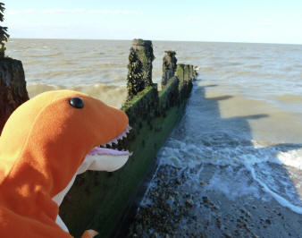 Dino looking for seaweed