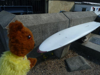 Yellow Teddy finding seat made of old surf board