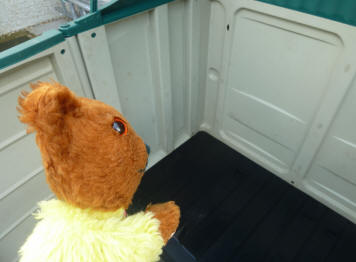 Yellow Teddy with cleaned up bike box