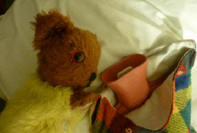 Yellow Teddy with hot water bottle
