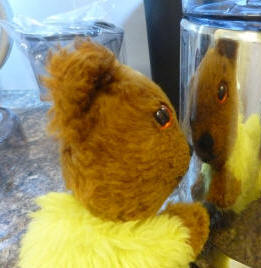 Yellow Teddy with shiny new juicer