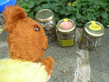 Yellow Teddy with jars of sorted screws