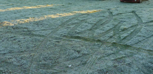 Tyre patterns on frosty grass