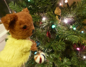 Yellow Teddy decorating tree