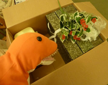 Dino with box of decorations