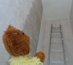 Yellow Teddy with ladder