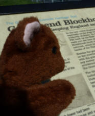Brown Teddy reading information board