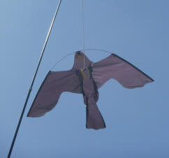 Hawk-shaped kite 2