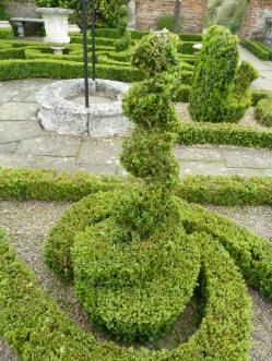 Topiary spiral