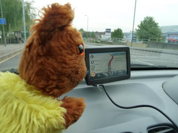Yellow Teddy with Tomtom