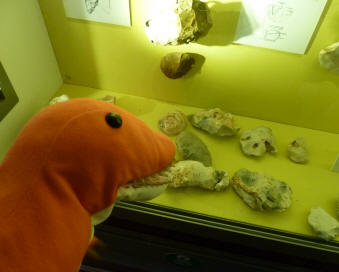 Dino with fossils
