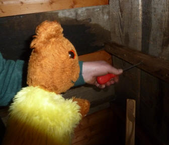 Yellow Teddy unscrewing shelf in shed