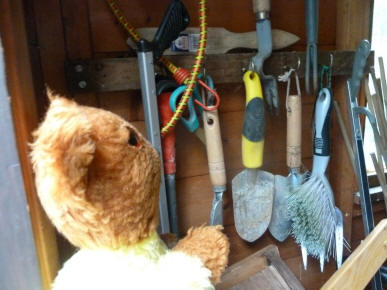 Yellow Teddy with tool rack in shed