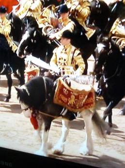Trooping of the Colour kettle drum horse