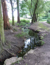 Danson Park stream