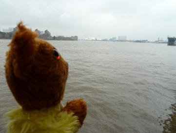 Yellow Teddy looking out over Thames