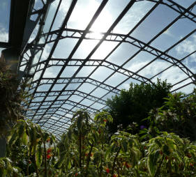 Hall Place greenhouse