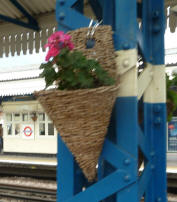 Flowers at station