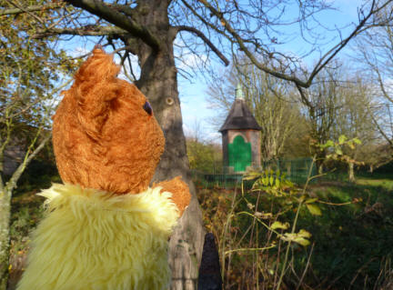 Yellow Teddy looking at bothy