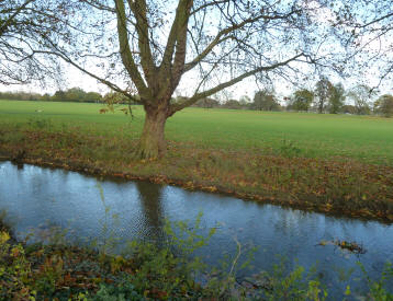 Old Deer Park fields and canal