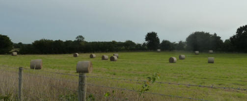 Hay rolls in fields
