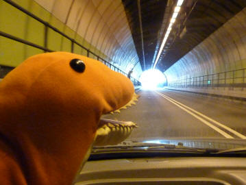 Dino in the tunnel