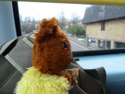 Yellow Teddy upstairs on  bus