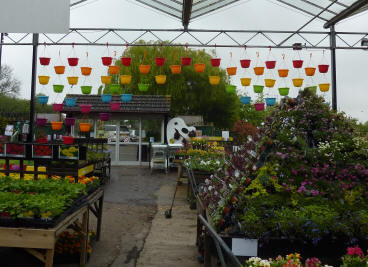 Coloured pots hanging up