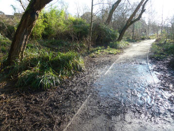 Riverside muddy path