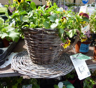 Cup and saucer basketweave planter
