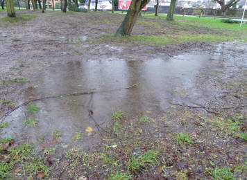 Big puddles on park grass