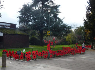 Bromley park poppies