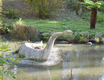 Long necked dinosaur