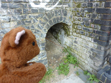 Little tunnel hole
