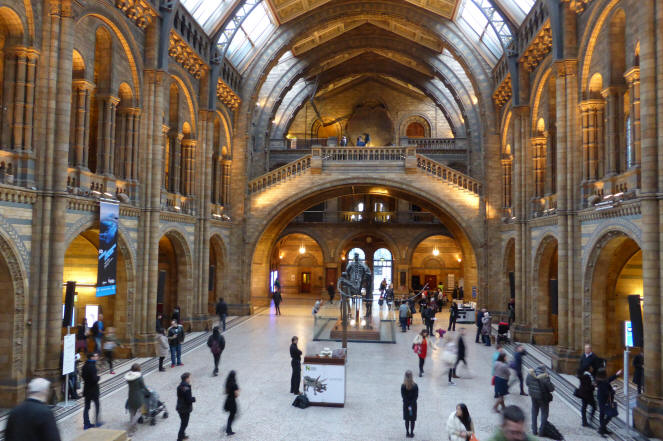Natural History Museum central hall
