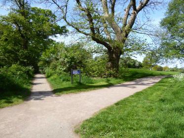 Stockwood Park
