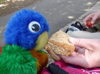 Blue Parrot's snack