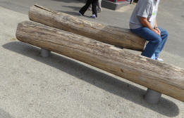 Log seats