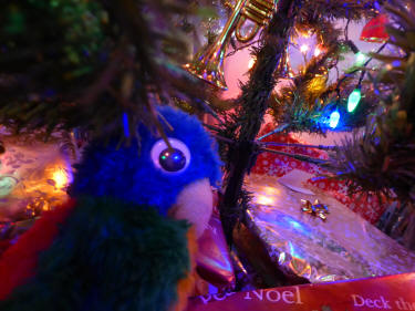 Blue Parrot under Christmas tree