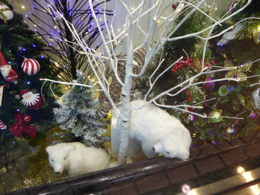 Shop window polar bears