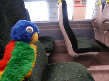Blue Parrot and green train seats