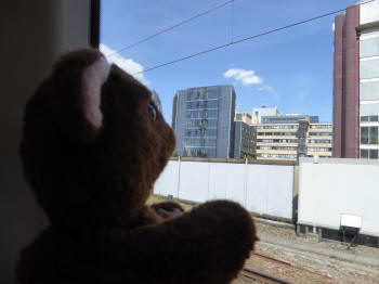 Brown Teddy train view of buildings
