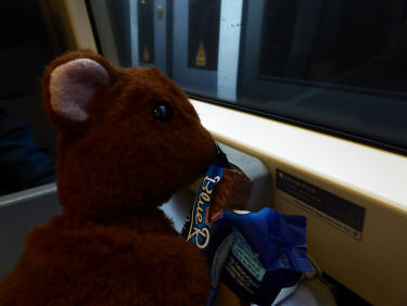 Brown Teddy on train