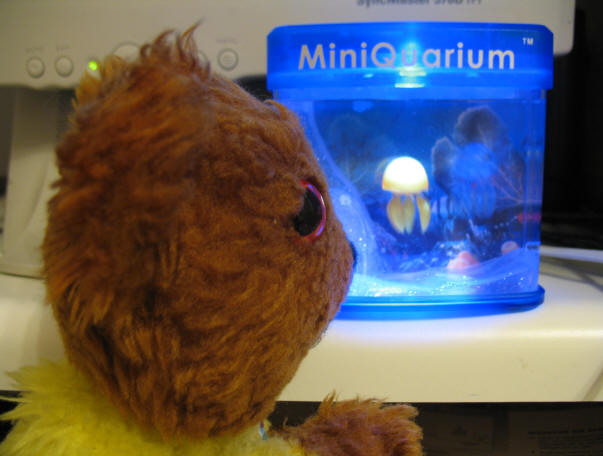 Yellow Teddy with USB mini aquarium