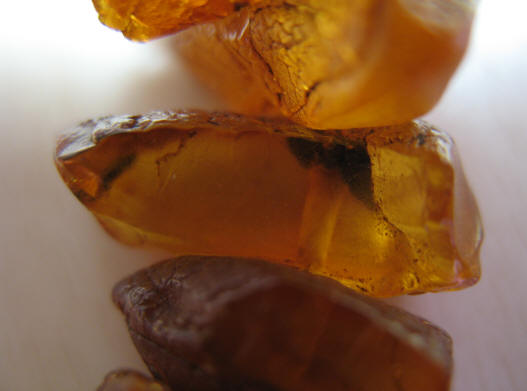 Pieces of amber