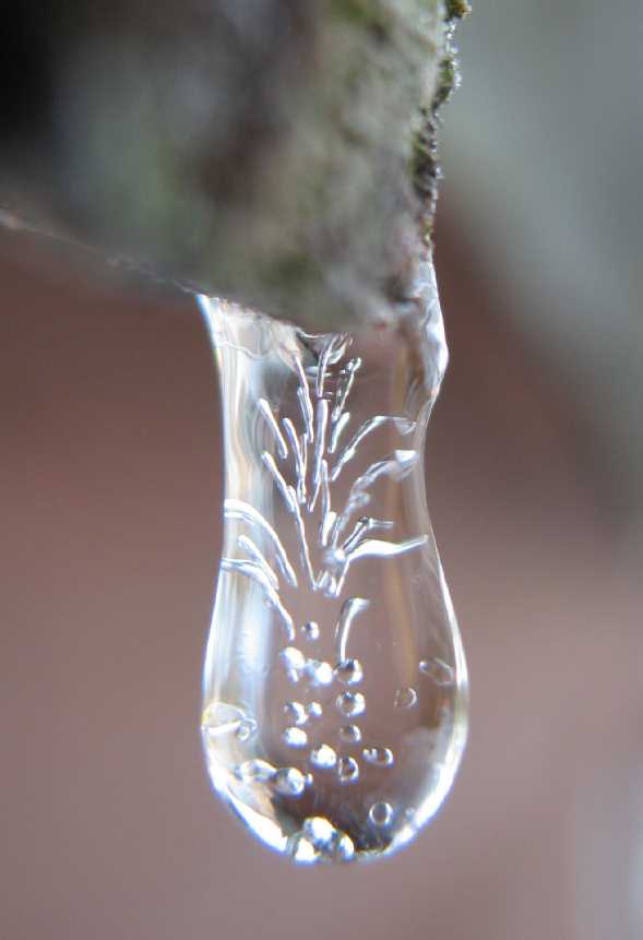 Icicle on shed roof