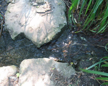 Danson Park stream and rocks