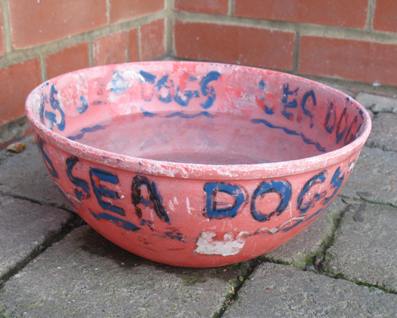 Hastings RNLI Lifeboats shed - Sea Dogs drinking water