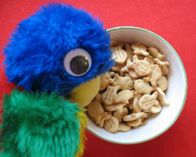 Blue parrot guarding the fish shaped nibbles